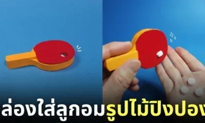 กล่องใส่ลูกอมรูปไม้ปิงปอง