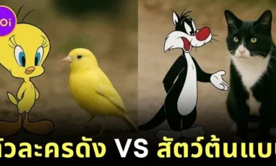 เผย 12 สัตว์ต้นแบบของตัวละครดังของ "Cartoon Network" ที่คุณไม่เคยรู้มาก่อน