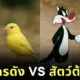 เผย 12 สัตว์ต้นแบบของตัวละครดังของ "Cartoon Network" ที่คุณไม่เคยรู้มาก่อน