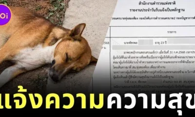หนุ่มไทยแจ้งความตำรวจ หลังเห็นน้องหมานอนหลับอย่างมีความสุข ก่อนถูกเรียกมาตักเตือน