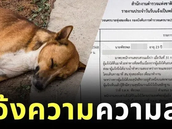 หนุ่มไทยแจ้งความตำรวจ หลังเห็นน้องหมานอนหลับอย่างมีความสุข ก่อนถูกเรียกมาตักเตือน