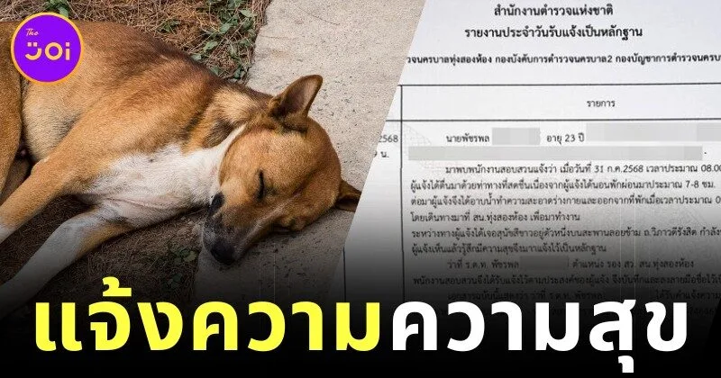 หนุ่มไทยแจ้งความตำรวจ หลังเห็นน้องหมานอนหลับอย่างมีความสุข ก่อนถูกเรียกมาตักเตือน