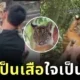 ลูกเสือน้อยถูกเพื่อนบูลลี่บ่อย ๆ พี่เลี้ยงเลยต้องอุ้มโอ๋ตลอด เกิดเป็นภาพน่ารักจนกลายเป็นไวรัล