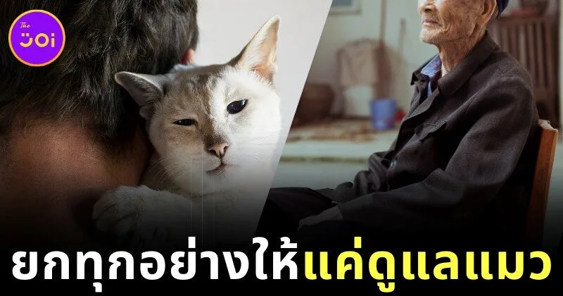 คุณปู่ชาวจีนวัย 82 ปี ประกาศยกมรดกทั้งหมดให้คนที่สัญญาว่าจะดูแลแมวอย่างดี หลังเขาเสียชีวิต