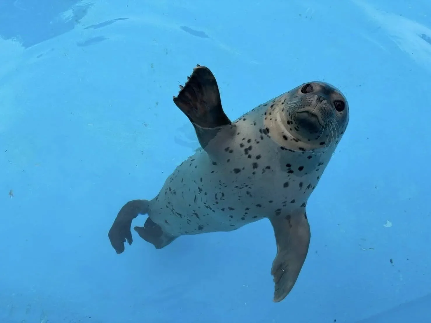 ภาพสัตว์โลกน่ารัก สวนสัตว์โทบุ Tobu Zoo ประเทศญี่ปุ่น