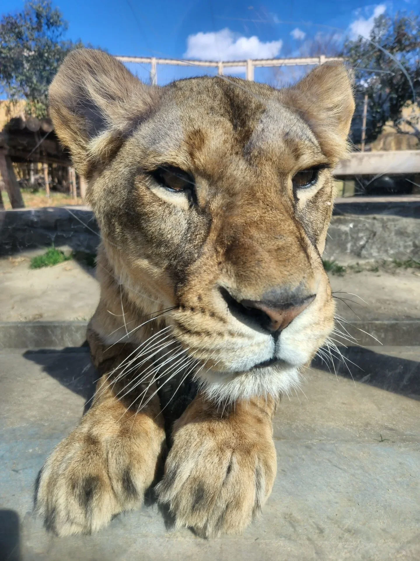 ภาพสัตว์โลกน่ารัก สวนสัตว์โทบุ Tobu Zoo ประเทศญี่ปุ่น