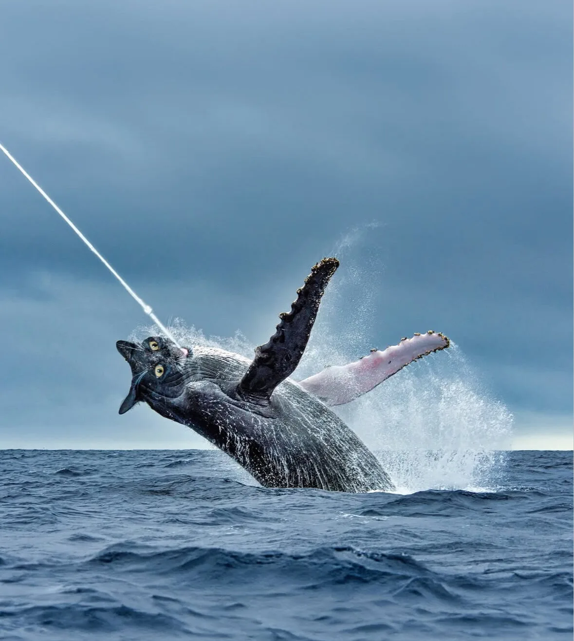 ภาพตัดต่อ Animal Hybrids สัตว์โลกผสมข้ามสายพันธุ์ Photoshop