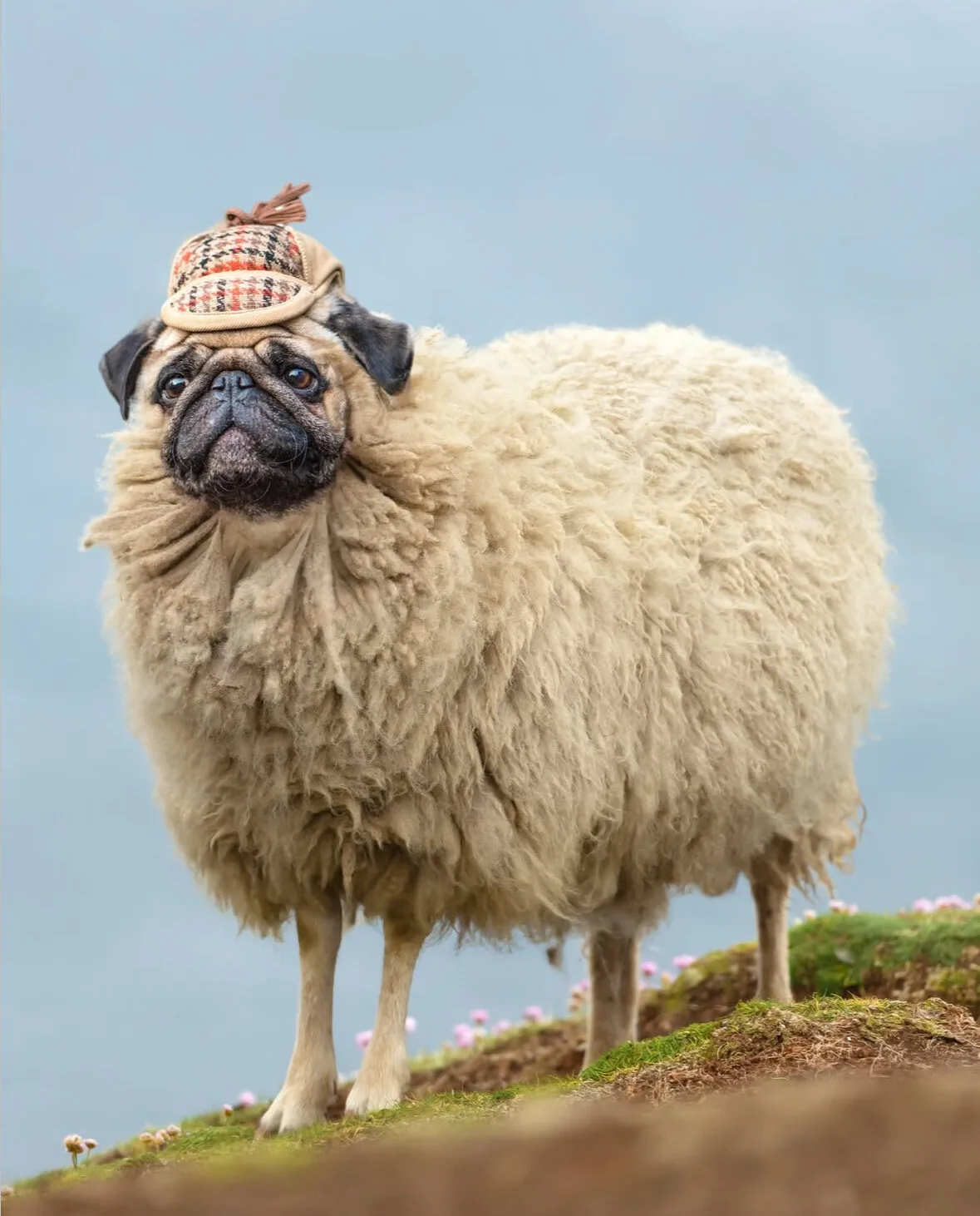 ภาพตัดต่อ Animal Hybrids สัตว์โลกผสมข้ามสายพันธุ์ Photoshop