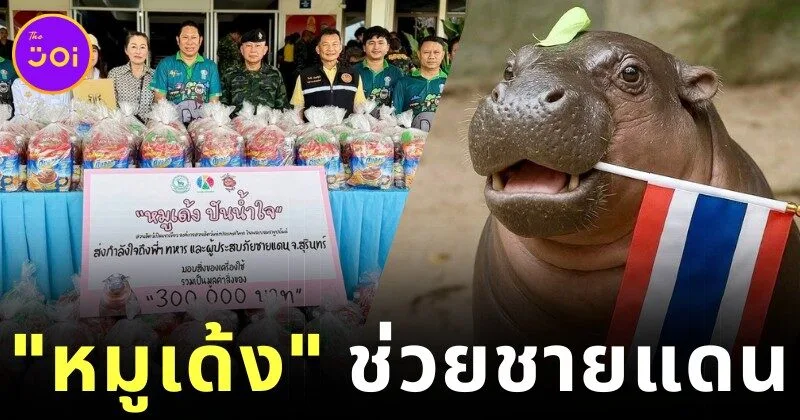 Moo Deng raises 300000 baht to help the border area and distributes stuffed toys for children to cuddle