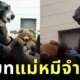 ชาวเน็ตแห่เอ็นดูเจ้าหน้าที่สวนสัตว์ซานดิเอโก้ สวมบท "แม่หมีจำเป็น" พร้อมชุดจัดเต็ม เพื่อให้หมีน้อยกำพร้ารู้สึกอบอุ่น