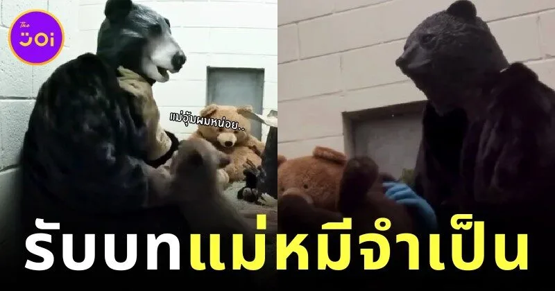 ชาวเน็ตแห่เอ็นดูเจ้าหน้าที่สวนสัตว์ซานดิเอโก้ สวมบท "แม่หมีจำเป็น" พร้อมชุดจัดเต็ม เพื่อให้หมีน้อยกำพร้ารู้สึกอบอุ่น