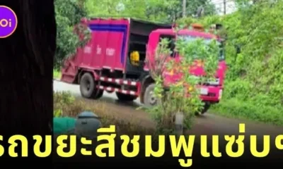 ฮือฮา! เพชรบูรณ์เปิดตัว "น้องชาลี" รถขยะสีชมพูสุดแซ่บ มาพร้อมเสียงประกาศสุดฮาร์ดคอร์ จนชาวบ้านอยากทิ้งขยะทุกวัน