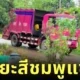 ฮือฮา! เพชรบูรณ์เปิดตัว "น้องชาลี" รถขยะสีชมพูสุดแซ่บ มาพร้อมเสียงประกาศสุดฮาร์ดคอร์ จนชาวบ้านอยากทิ้งขยะทุกวัน