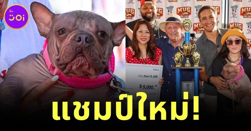 "เพทูเนีย (Petunia)" น้องหมาไร้ขน คว้าตำแหน่ง "สุนัขที่น่าเกลียดที่สุดในโลก" ประจำปี 2025
