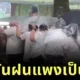 เมื่อปอนโจในสวนสนุกราคาแพง นักท่องเที่ยวรวมพลังใช้ให้คุ้ม เรียกเสียงฮาทั้งโซเชียล