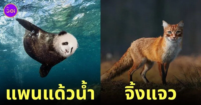 ภาพตัดต่อ Animal Hybrids สัตว์โลกผสมข้ามสายพันธุ์ Photoshop