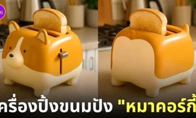 เครื่องปิ้งขนมปังรูปน้องหมาคอร์กี้