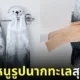 ผ้าขนหนูรูปนากทะเล Felissimo