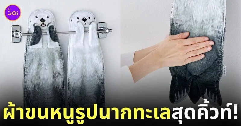 ผ้าขนหนูรูปนากทะเล Felissimo