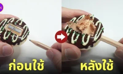 กบเหลาดินสอพิซซ่าญี่ปุ่น