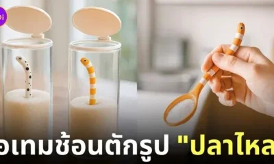 ช้อนตักรูปปลาไหล