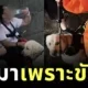 คนตาบอดตีหมานำทางตัวเอง เพราะน้องมองว่าบันไดเป็นอุปสรรค เลยไม่ยอมเดิน