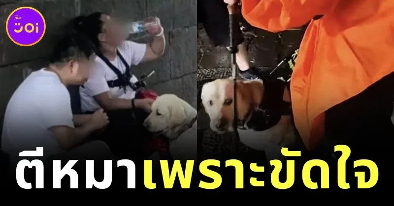 คนตาบอดตีหมานำทางตัวเอง เพราะน้องมองว่าบันไดเป็นอุปสรรค เลยไม่ยอมเดิน