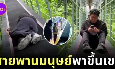 เผยคลิป "เดินขึ้นเขาแบบใหม่แบบสับ" ของชาวจีน สบายจนอยากไปลอง!