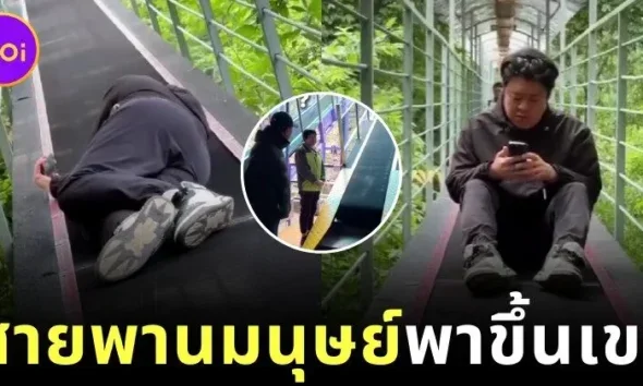 เผยคลิป "เดินขึ้นเขาแบบใหม่แบบสับ" ของชาวจีน สบายจนอยากไปลอง!