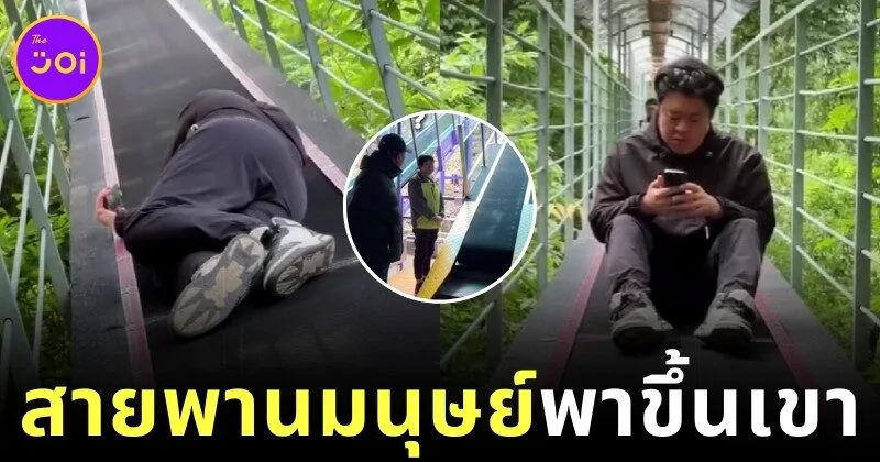 เผยคลิป "เดินขึ้นเขาแบบใหม่แบบสับ" ของชาวจีน สบายจนอยากไปลอง!