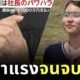 ญี่ปุ่นสั่งชดเชย 33 ล้านบาท ให้ครอบครัวพนักงานสาว หลัง CEO ด่าหยาบคาย กดดันจนจิตตกและจบชีวิตตัวเอง