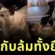 รักแท้ไม่จำกัดวัย! หนุ่มญี่ปุ่นวัย 23 หลงรักคุณยายวัย 83 ของเพื่อน แม้อายุห่างกัน 60 ปี