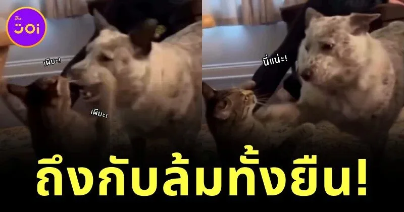 รักแท้ไม่จำกัดวัย! หนุ่มญี่ปุ่นวัย 23 หลงรักคุณยายวัย 83 ของเพื่อน แม้อายุห่างกัน 60 ปี