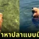 เจ้าหมีกริซลีลอยน้ำหาปลาแซลมอนแบบชิลล์ ๆ ดูน่ารักน่าเอ็นดูจนกลายเป็นไวรัล