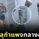 เจอแบบนี้มีผวา! ชายอินเดียยืนอาบน้ำ กลับเจอเสือพุ่งทะลุกำแพง ส่งสายตา "ขอเราอาบด้วยคนสิ"