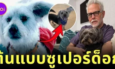 Krypto Superdog Real Life Model Ozu James Gunn
