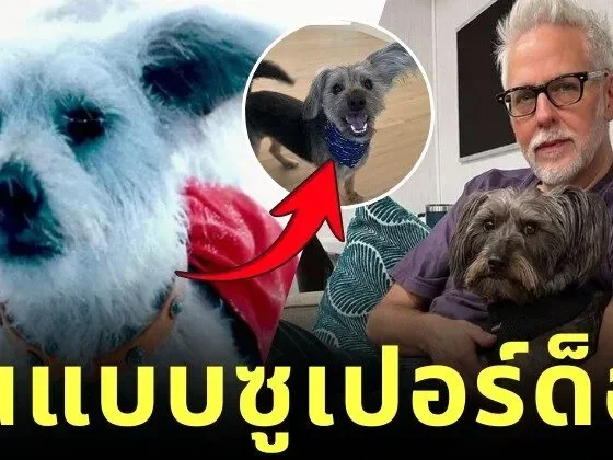 Krypto Superdog Real Life Model Ozu James Gunn