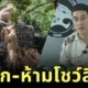 กรมอุทยานฯ สั่งกักสิงโตสวนสัตว์ชื่อดัง ปรับพฤติกรรม-ห้ามโชว์ตัว หลังมีประวัติกัดคน