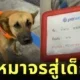 "เจ้าตาล" จากหมาจรจัดสู่พนักงานมีเงินเดือนแห่งปั๊มน้ำมัน เรื่องจริงที่อบอุ่นหัวใจคนทั้งประเทศ