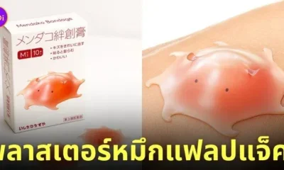 พลาสเตอร์รูปหมึกแฟลปแจ็ค