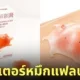 พลาสเตอร์รูปหมึกแฟลปแจ็ค