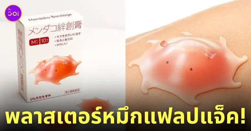 พลาสเตอร์รูปหมึกแฟลปแจ็ค