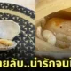 ภาพปูถั่วในหอยลาย