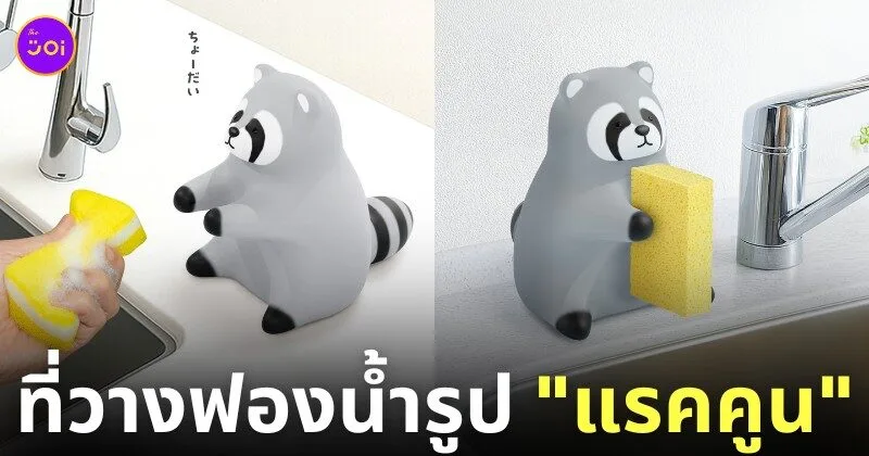 ที่วางฟองน้ำรูปแรคคูน