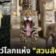 ภาพสัตว์โลกน่ารัก สวนสัตว์โทบุ Tobu Zoo ประเทศญี่ปุ่น
