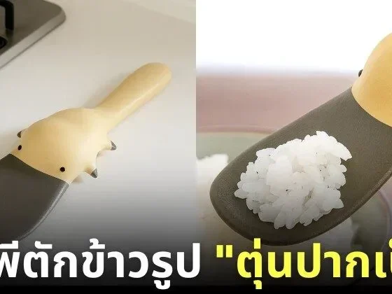 ทัพพีรูปตุ่นปากเป็ด