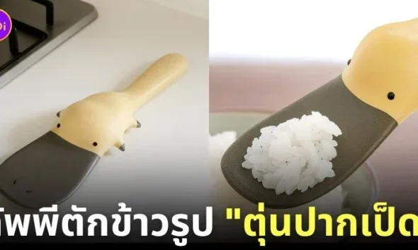 ทัพพีรูปตุ่นปากเป็ด