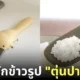 ทัพพีรูปตุ่นปากเป็ด