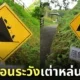 ป้ายเตือนระวังเต่าหล่นลงมา ญี่ปุ่น