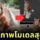 เผยขั้นตอนสร้างภาพฟิกเกอร์ 3D บน "Gemini" ฟรี ที่กำลังฮิตสุด ๆ บนโลกโซเชียล